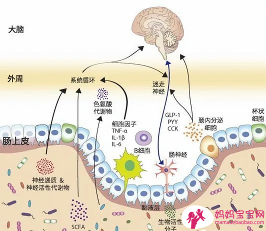 研究质疑分娩方式与盆底症状之间的关系