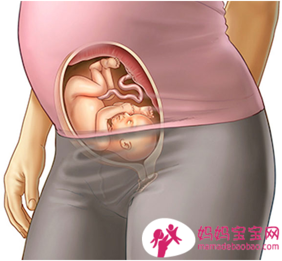 怀孕第26周：怀孕后期莫名想哭，孕妇腰痛缓解，如何抒发怀孕中期的忧郁情绪