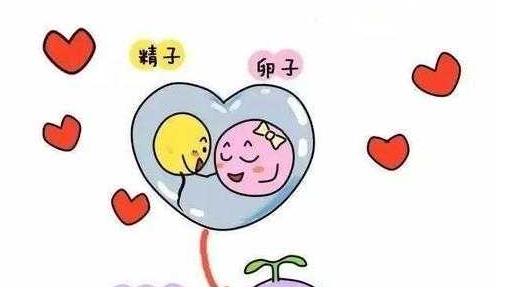 刚怀孕1 7天的征兆,身体会有感觉吗？是什么样的感觉？