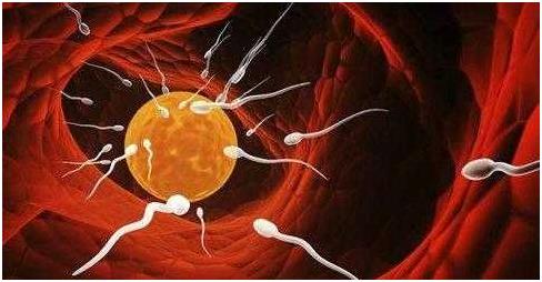 刚怀孕1 7天的征兆,身体会有感觉吗？是什么样的感觉？