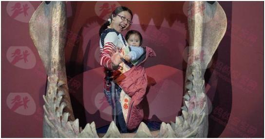 只靠老公可以吗？四问题决定当不当全职妈