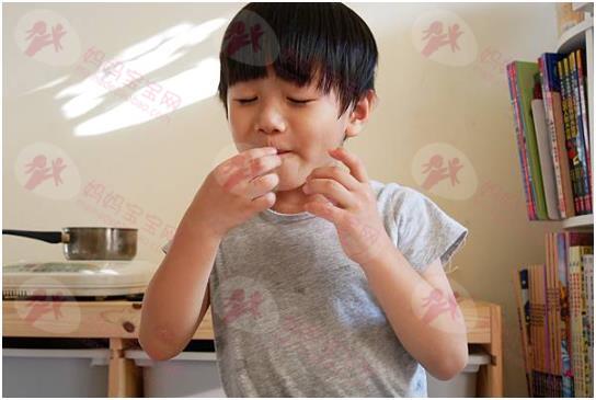 德国NO.1婴儿营养品牌－HiPP喜宝生机 水果趣新口味上市！