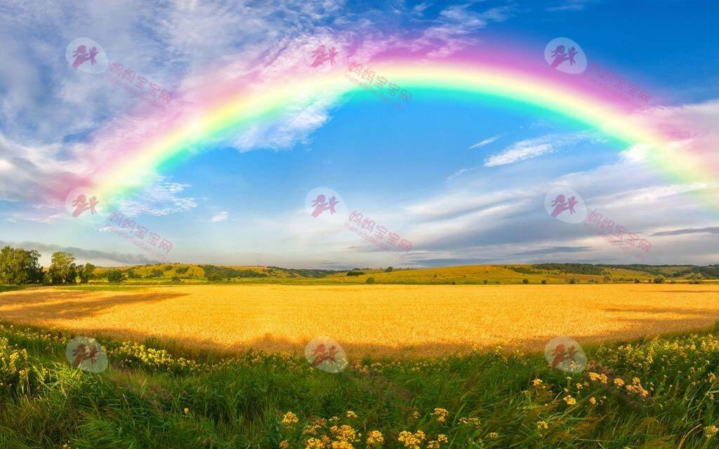 12个孕初期症状一半符合已怀孕