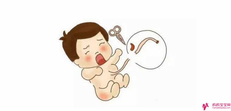脐带血有必要储存吗