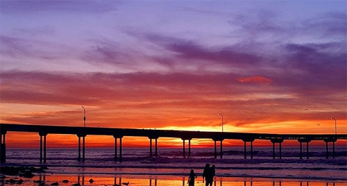 4男大生共用「飞机杯」全染菜花医曝6好发族群！严重恐致癌