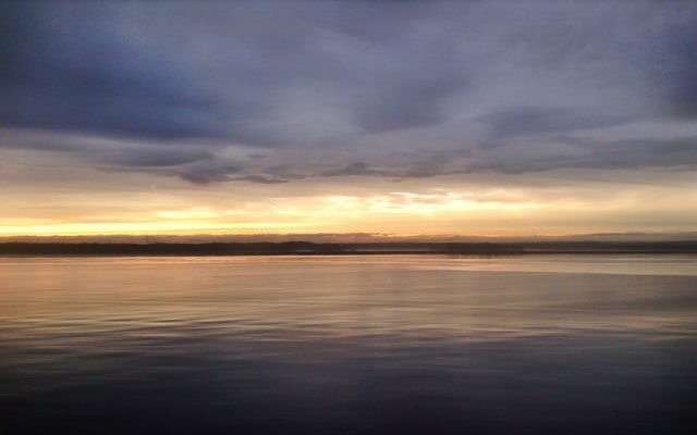 4男大生共用「飞机杯」全染菜花医曝6好发族群！严重恐致癌