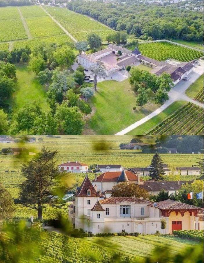 赵薇被爆逃往法国？14亿酒庄、多人派对照片曝光