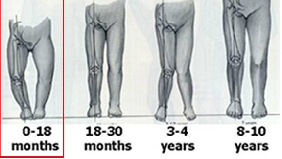 揹巾的方便成为近期新手爸妈们的青睐,却也担心会影响宝宝的脊柱发展吗?
