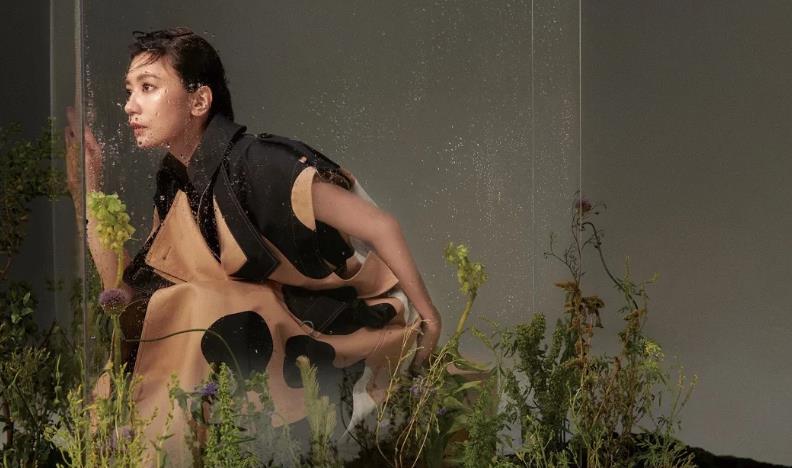 差点为盆栽跟修杰楷争执贾静雯因女儿一句话深思许久