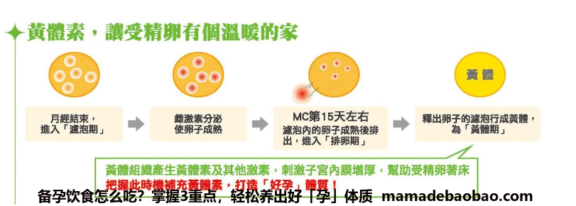 备孕饮食怎么吃？掌握3重点，轻松养出好「孕」体质