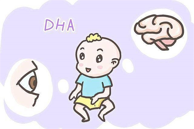 孕妇应该怎样正确补充DNA