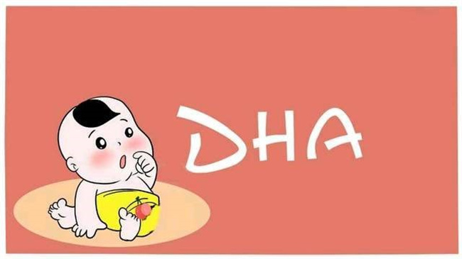 孕妇应该怎样正确补充DNA