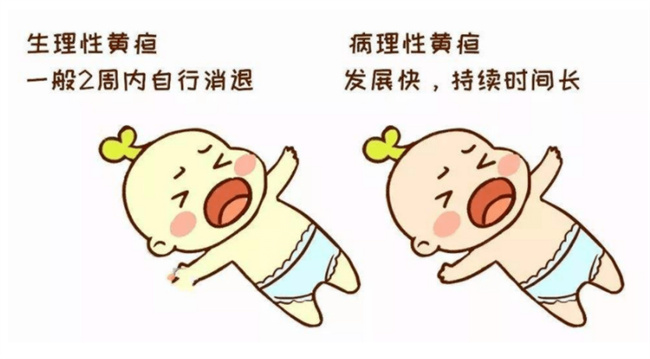 新生儿黄疸了怎么办