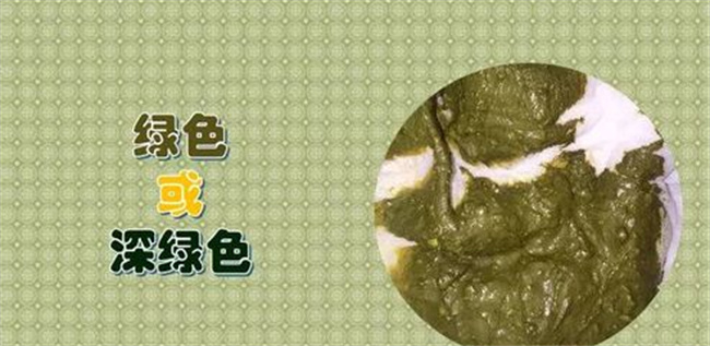 孩子拉的粑粑发绿是怎么回事（生理原因和病理原因）