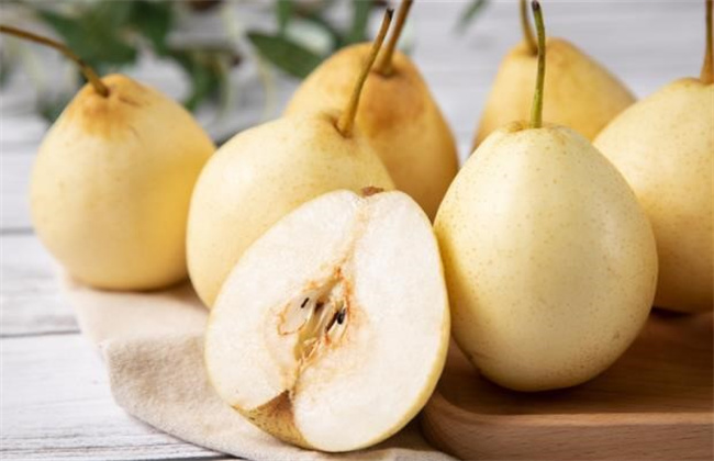 孩子得了肺炎，支气管炎应该吃这些食物（清淡的，容易消化和吞咽的食物）