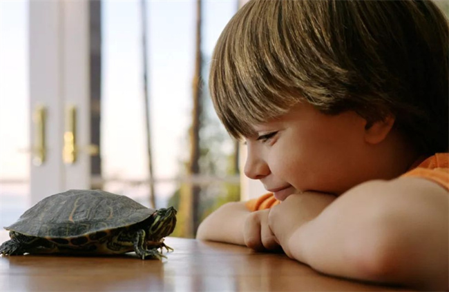 孩子性格内向，家长应该怎样正确引导