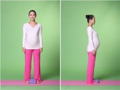  适合怀孕期间听的胎教音乐（《梦幻曲》、《杜鹃圆舞曲》、《维也纳森林的