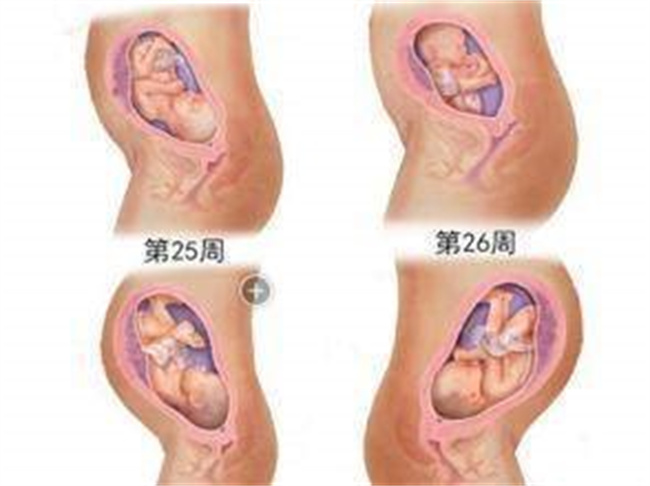 宝妈抚摸肚子正确的方式（来回抚摸法，触摸拍打法，推动散步法等）