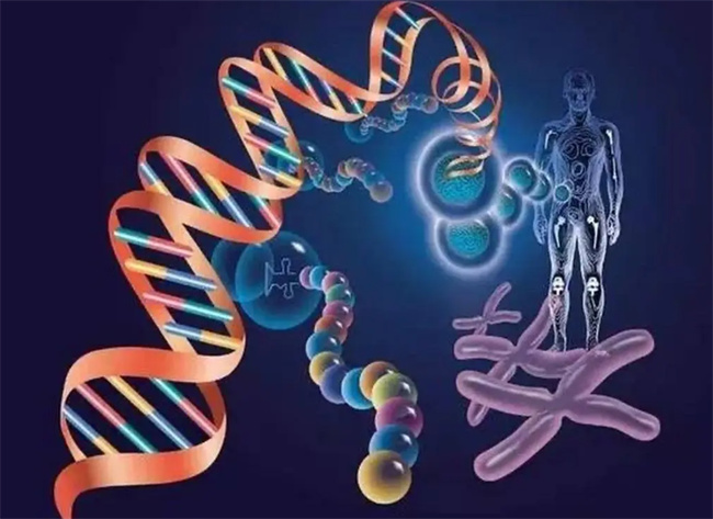 这三类遗传影响幼儿的心理健康（遗传直接因素）