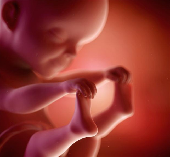 胎儿孕育教育的第1步是先天性环境（先天环境是胎儿教育第一步）