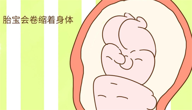 胎儿孕育教育的第1步是先天性环境（先天环境是胎儿教育第一步）