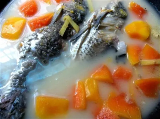 可以下奶的速食汤食谱大全