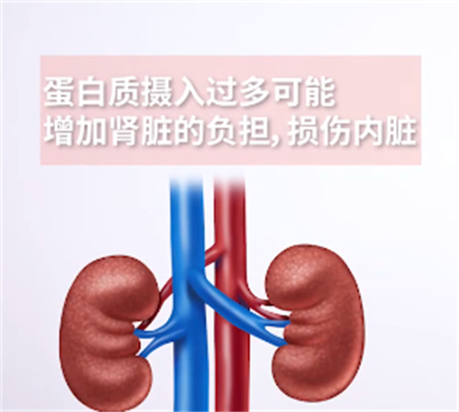 蛋白质吃多了有什么危害