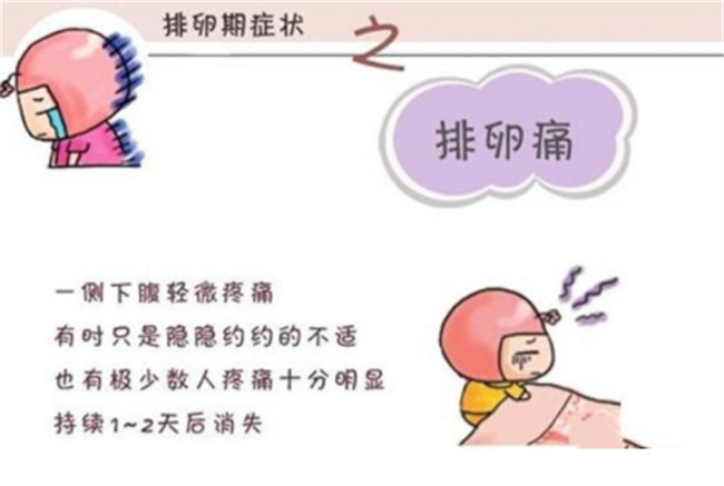 女性排卵期有什么症状