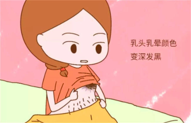 孕期为什么会乳晕长毛