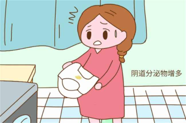 怀孕期间阴道分泌物为什么会增多