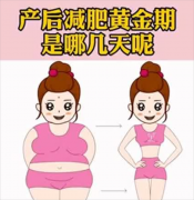 产后减肥的黄金时期