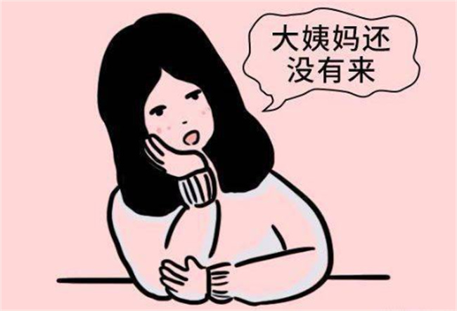 不来月经也没有怀孕是什么原因