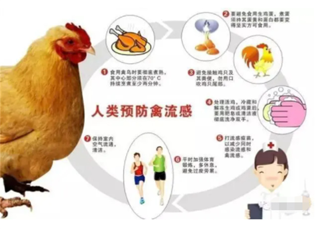 禽流感h7n9的治疗方式