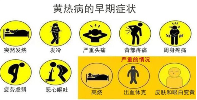 如何预防黄热病