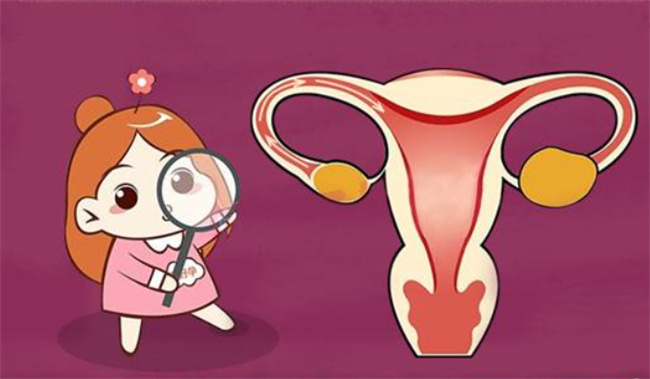 探究导致输卵管不通的常见原因