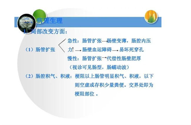 发现幼儿生理性肠扩张后怎么有效治疗