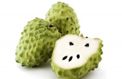 释迦果：品味台湾独特风情与美味创意