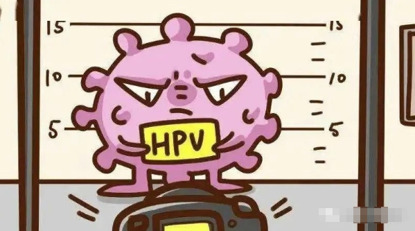 彻底治愈HPV：提升免疫力与辅助药物的双管齐下