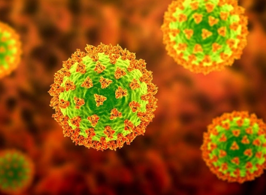 探析轮状病毒：预防与应对肠胃疾病