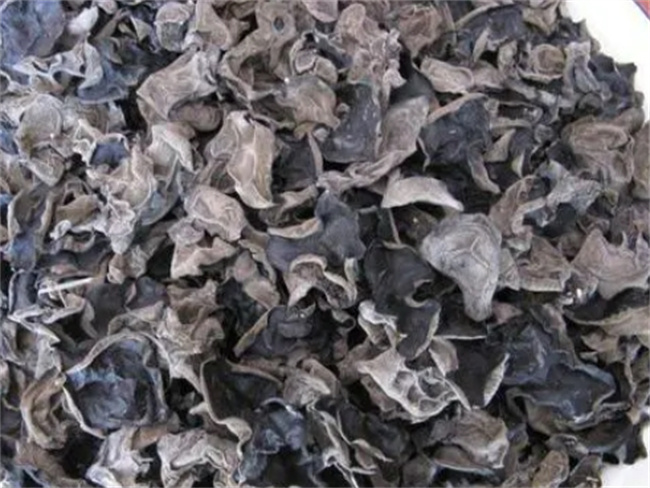 黑木耳：探秘其珍贵营养与多重功效