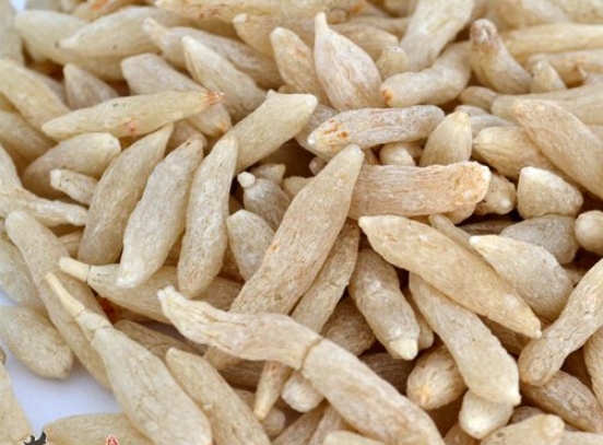 深度解析：麦冬泡水的多重功效与益处