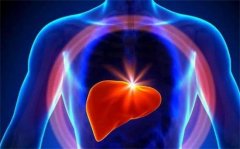 了解乙肝：症状信号与健康呼唤