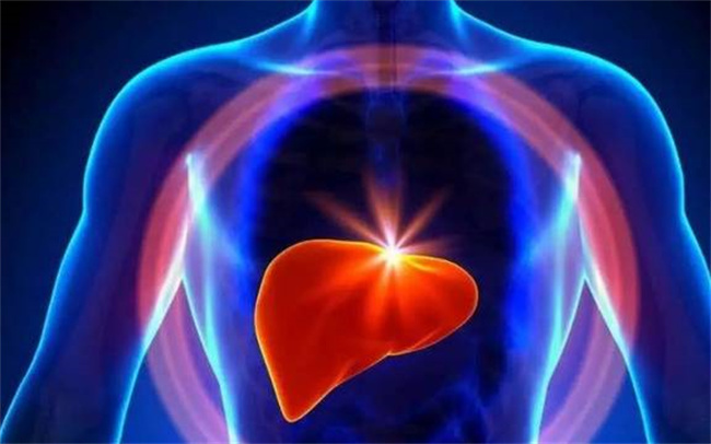 了解乙肝：症状信号与健康呼唤