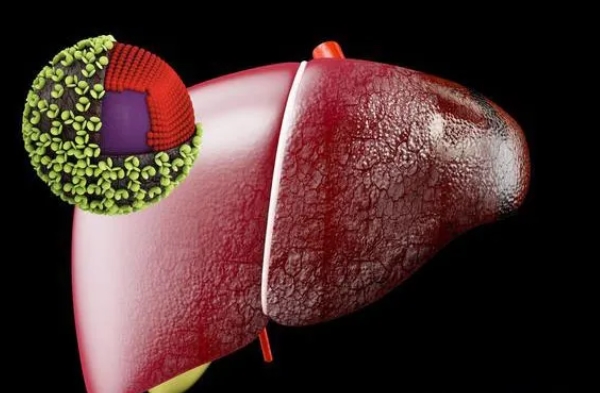 乙肝表面抗体弱阳性：解读与应对