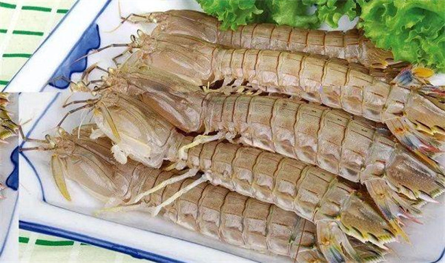  孕妇营养之选：皮皮虾的益处与注意事项