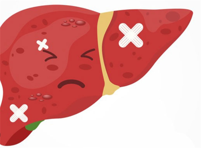 乙肝表面抗体阳性：保护性免疫的体现与意义