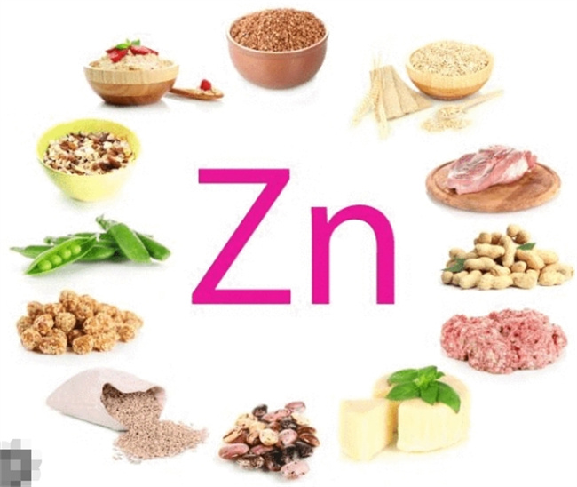 探讨锌元素在食物中的重要性与来源
