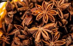 八角茴香：烹饪佳品的不可或缺之物