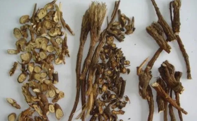 柴胡的神奇力量：中药明星揭秘