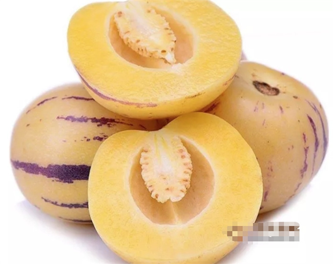 揭秘人参果的卫生奇迹：食疗养生的极品